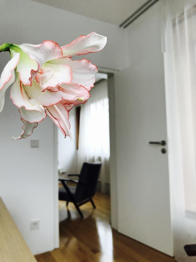 Design Apartment In Park Sofie Exteriér fotografie